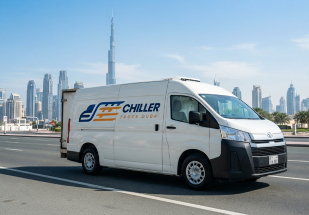 Transport Frozen Food Safely