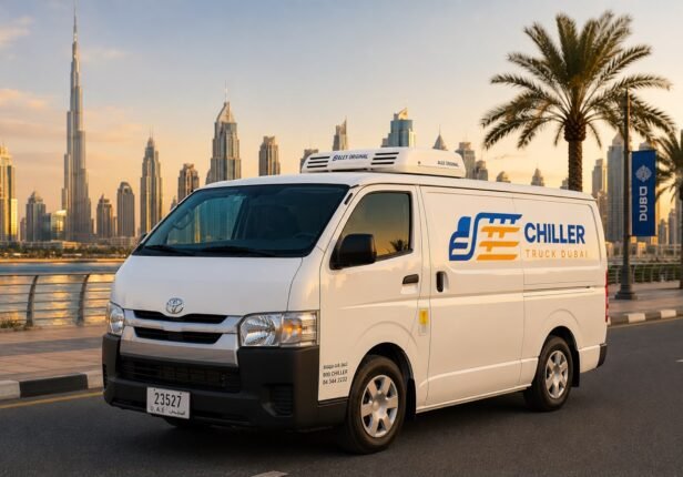 Frozen Food & Ice Cream Transport
