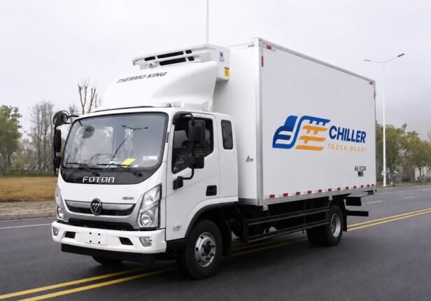 Frozen Food & Ice Cream Transport